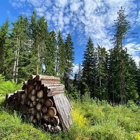 Grand Resort Luxury Apartment Pamporovo Bagian luar foto